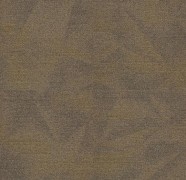 2009 continental drift 